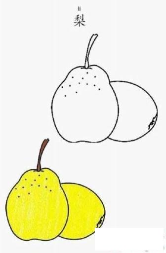 带颜色的梨简笔画大全