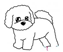 可爱的小狗简笔画，比熊犬简笔画