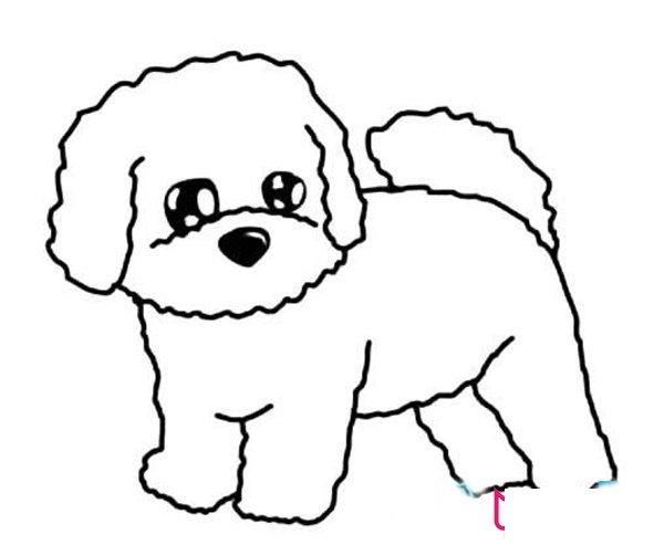 可爱的小狗简笔画，比熊犬简笔画