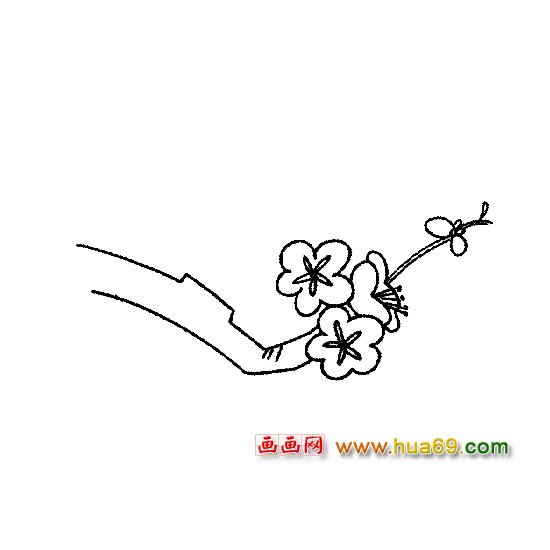 漂亮的梅花-花卉简笔画
