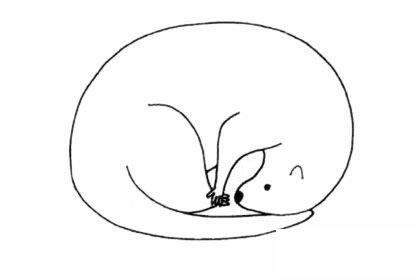 水獭简笔画图片