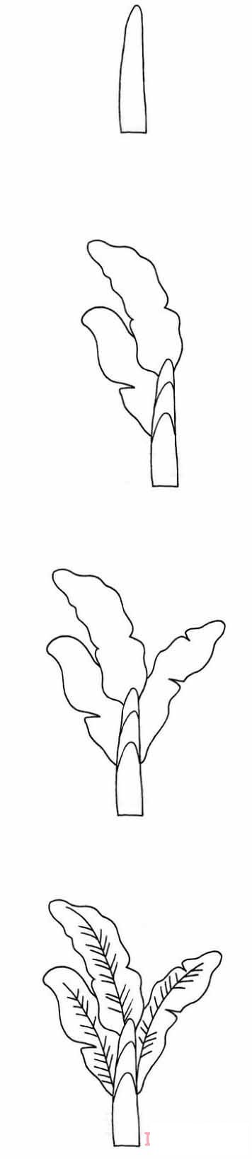 芭蕉树怎么画可爱 带步骤图芭蕉树简笔画图片