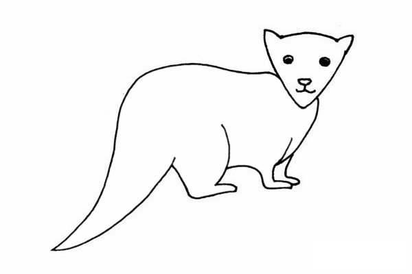 水獭简笔画图片