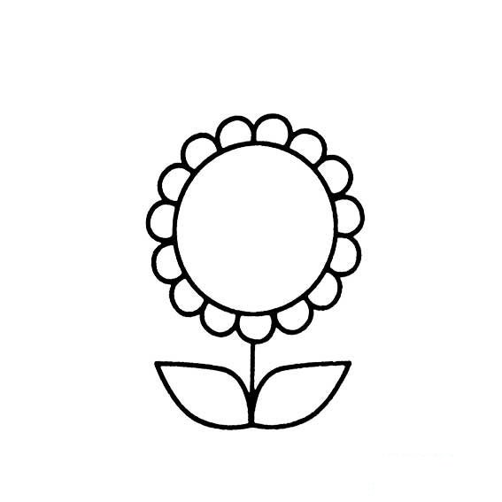 太阳花非常简单的的简笔画法7