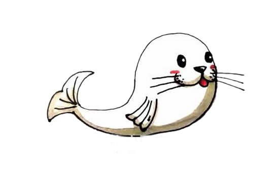 可爱海豹简笔画画法图片步骤