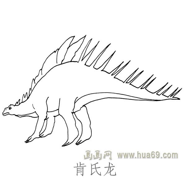 儿童简笔画恐龙：肯氏龙