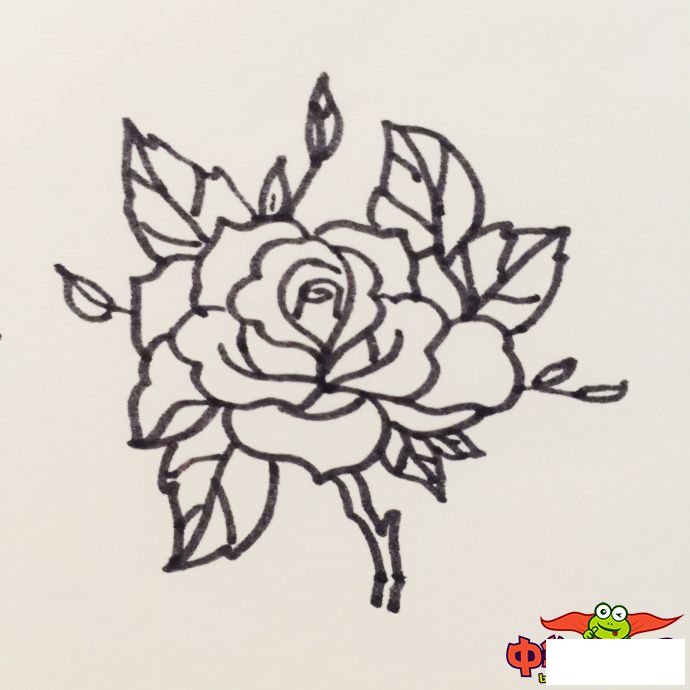 玫瑰花怎么画简单好看，玫瑰花简笔画图片大全