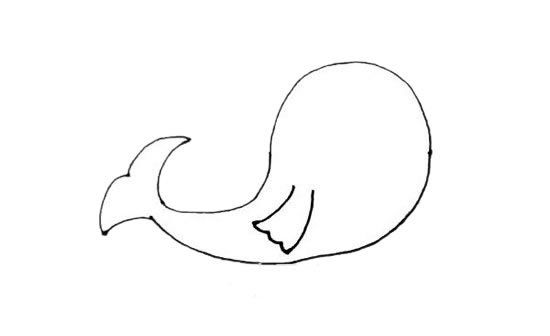 可爱海豹简笔画画法图片步骤