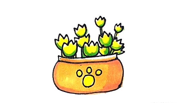 熊童子简笔画