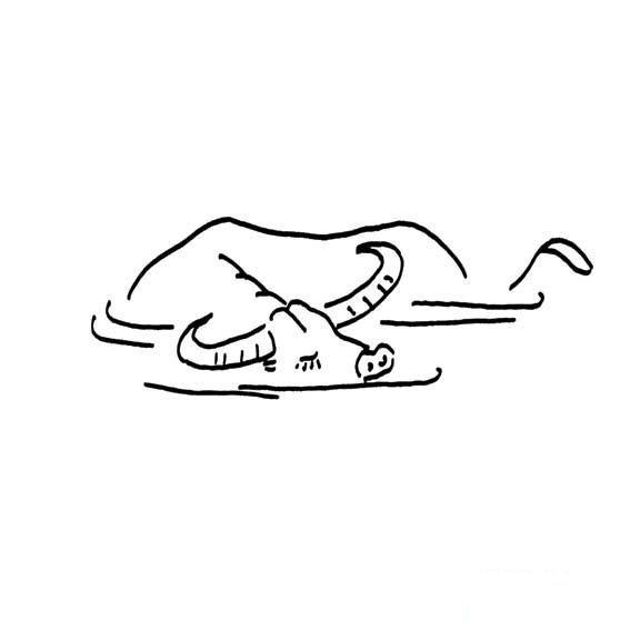 水牛在游泳的画法