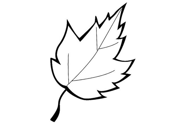 枫叶简笔画