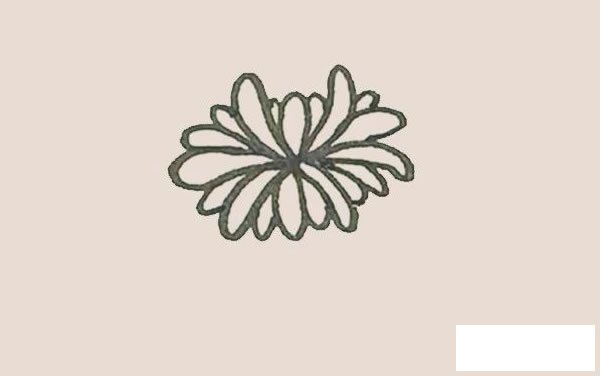 菊花简笔画图片