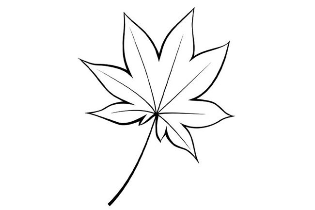树叶简笔画