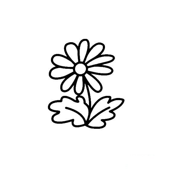 一颗小小菊花的简单画法