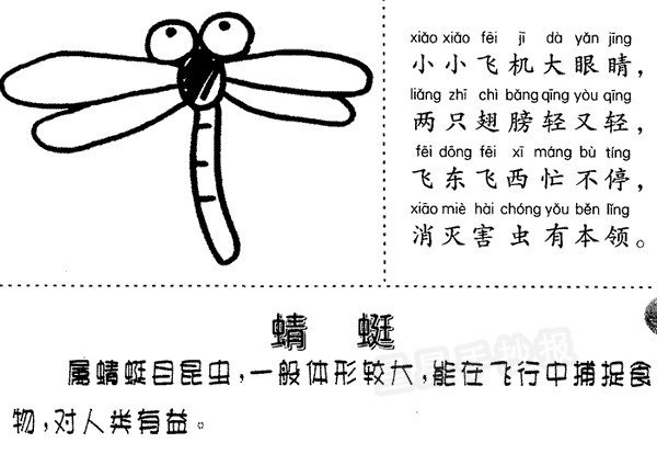 蜻蜓简笔画
