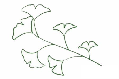 银杏树简笔画图片