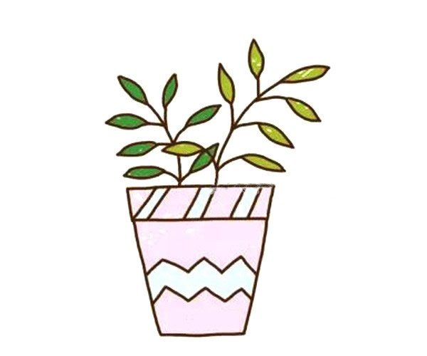 漂亮的盆栽简笔画