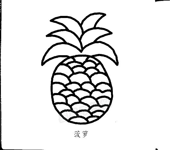 菠萝简笔画
