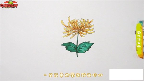 菊花简笔画