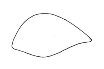 孔雀鱼简笔画图片