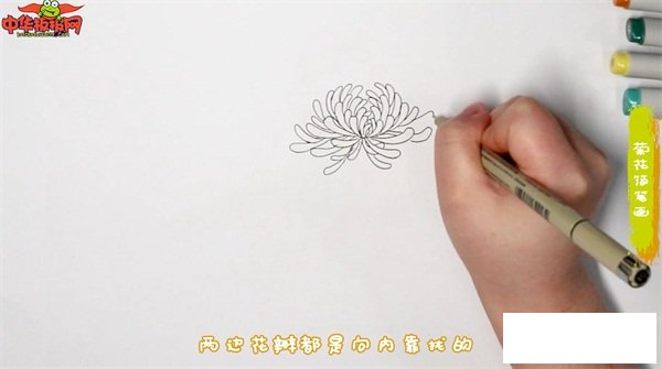 菊花简笔画