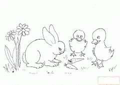 小鸭看白兔吃红萝卜简笔画