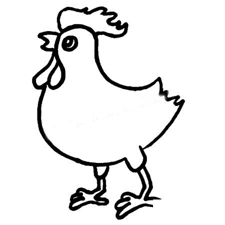 大公鸡简笔画