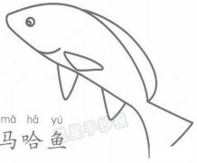 大马哈鱼简笔画