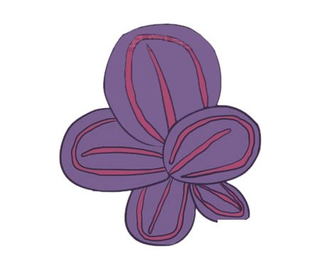 竹芋简笔画图片