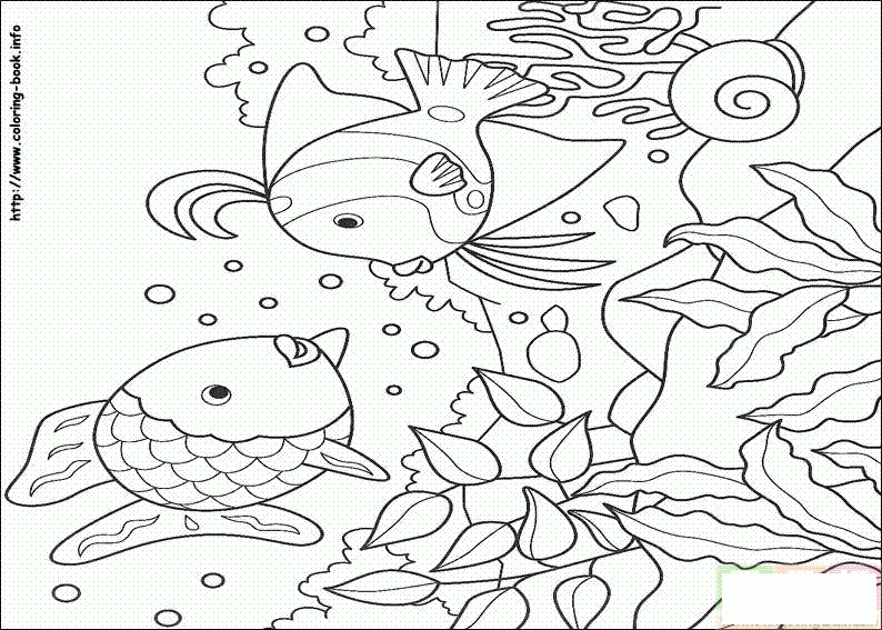 两条鱼在水里游简笔画