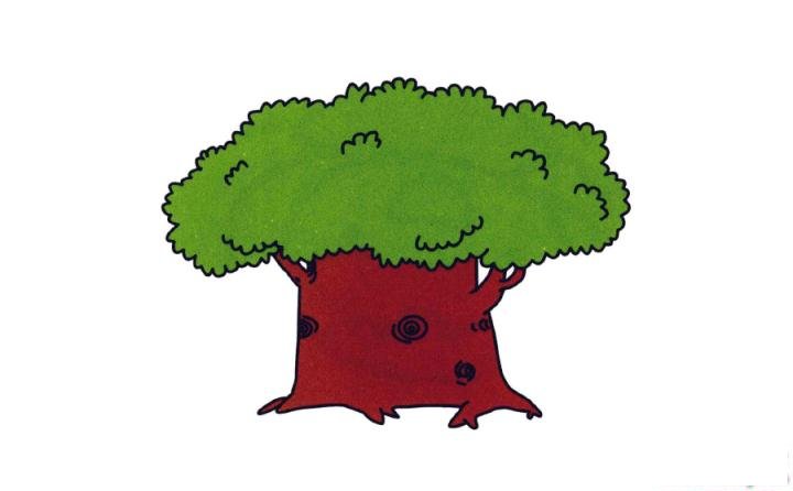 彩色简笔画大榕树的图片教程