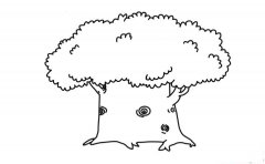 彩色大榕树简笔画画法_怎么画彩色大榕树的简笔