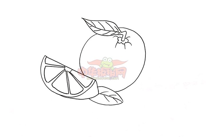 橙子怎么画简笔画，简单的橙子简笔画步骤
