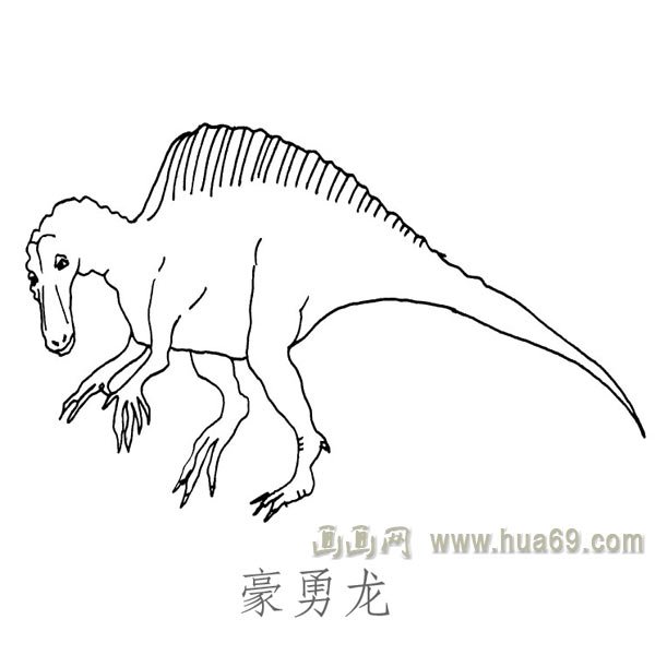 儿童简笔画恐龙：豪勇龙