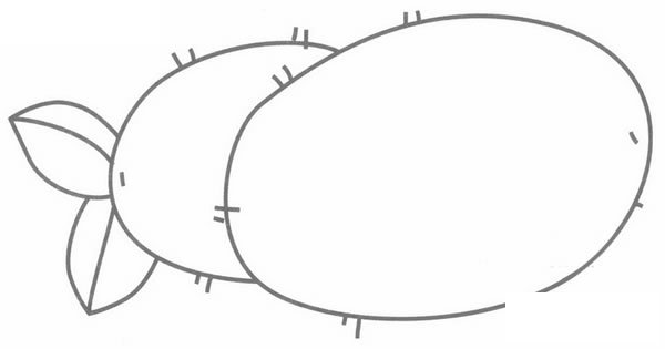 猕猴桃简笔画