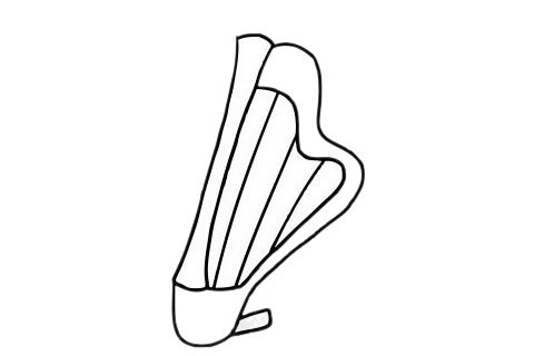 竖琴简笔画图片