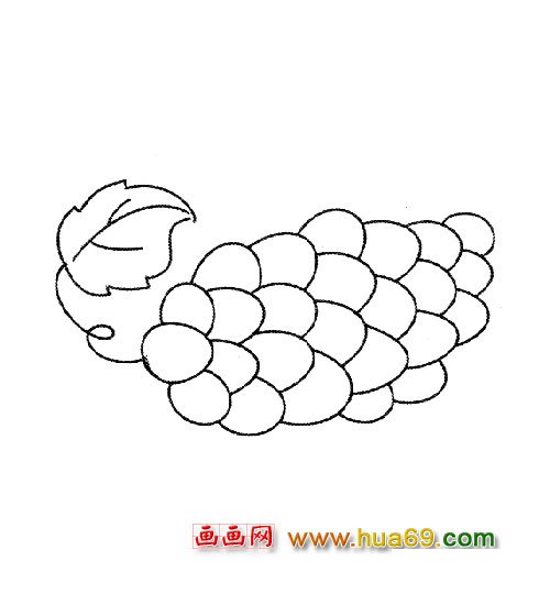 简笔画:香甜的葡萄5