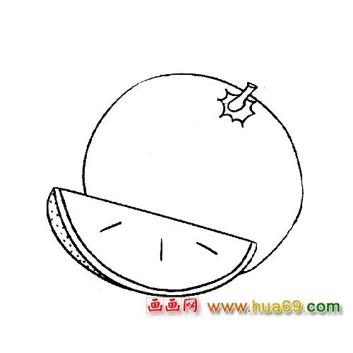 水果简笔画：柑橘3