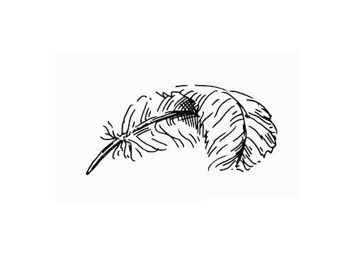 羽毛简笔画图片