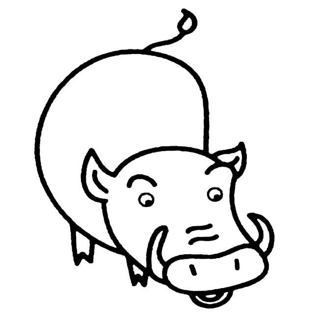 野猪动物简笔画步骤图片大全
