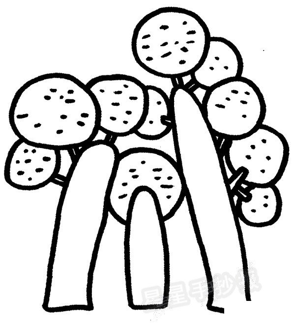 桦树简笔画