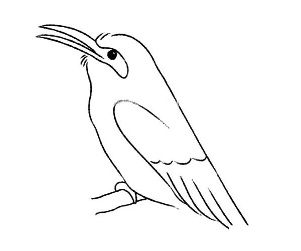小喜鹊简笔画