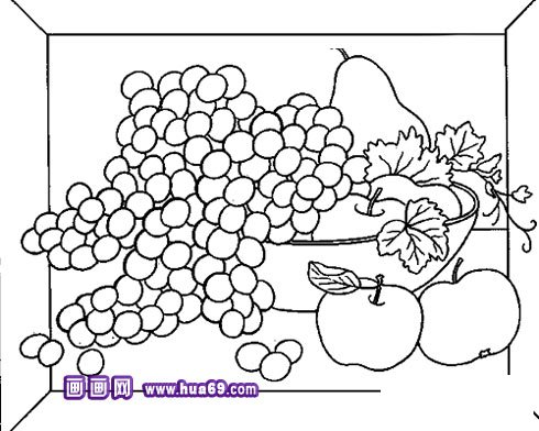 很多水果简笔画