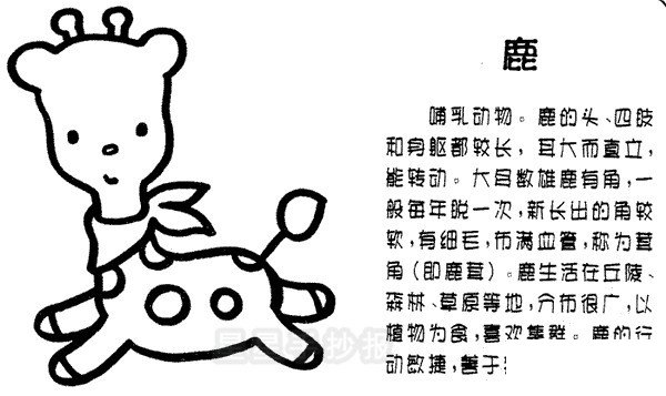 小鹿简笔画