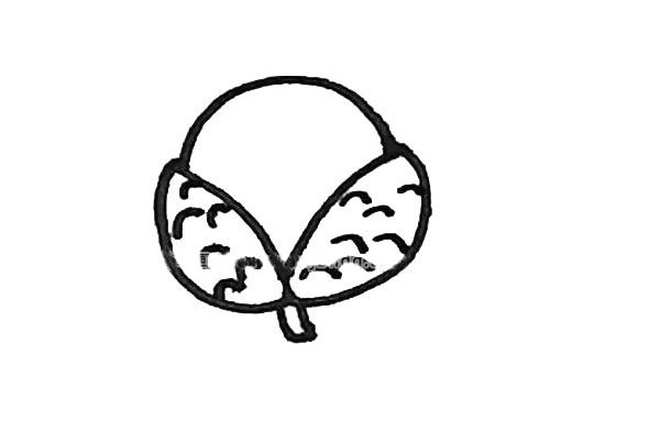 荔枝简笔画