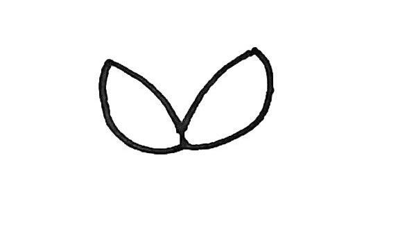 荔枝简笔画