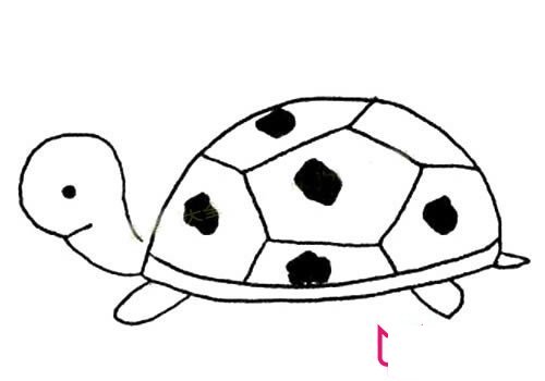 动物简笔画大全，慢吞吞的乌龟简笔画