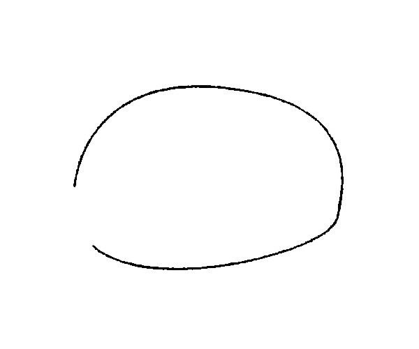 野猪简笔画的画法步骤图片