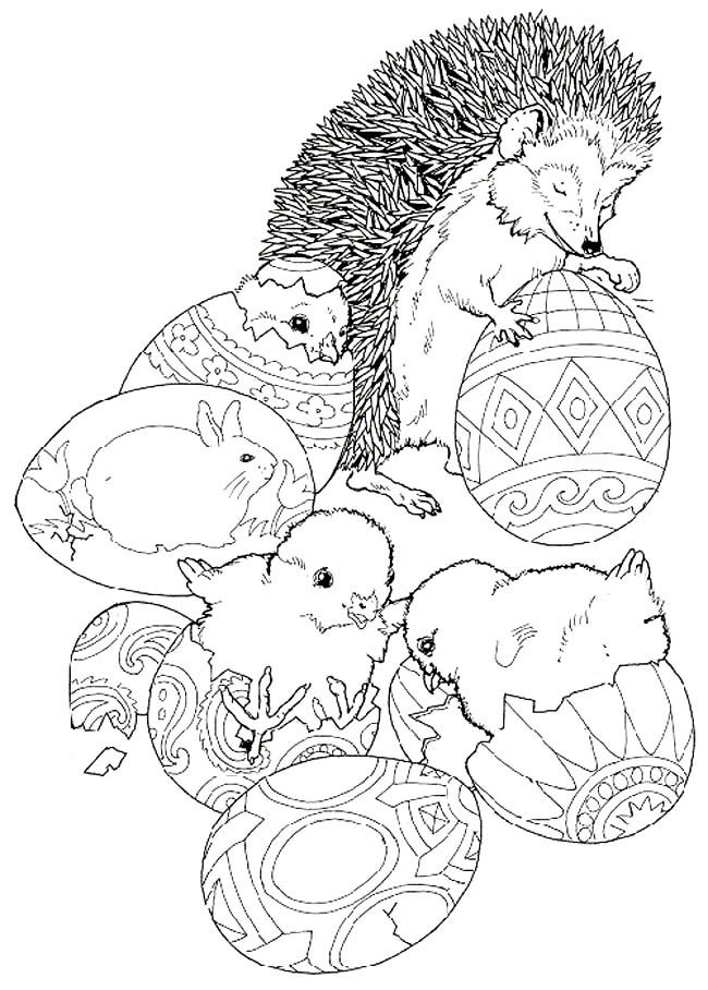刺猬和彩蛋动物简笔画步骤图片大全