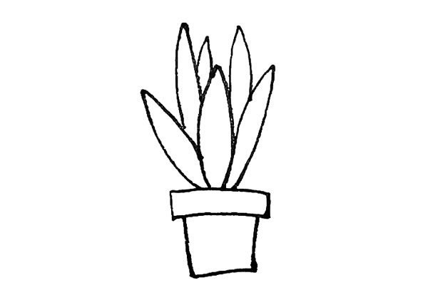 虎皮兰简笔画